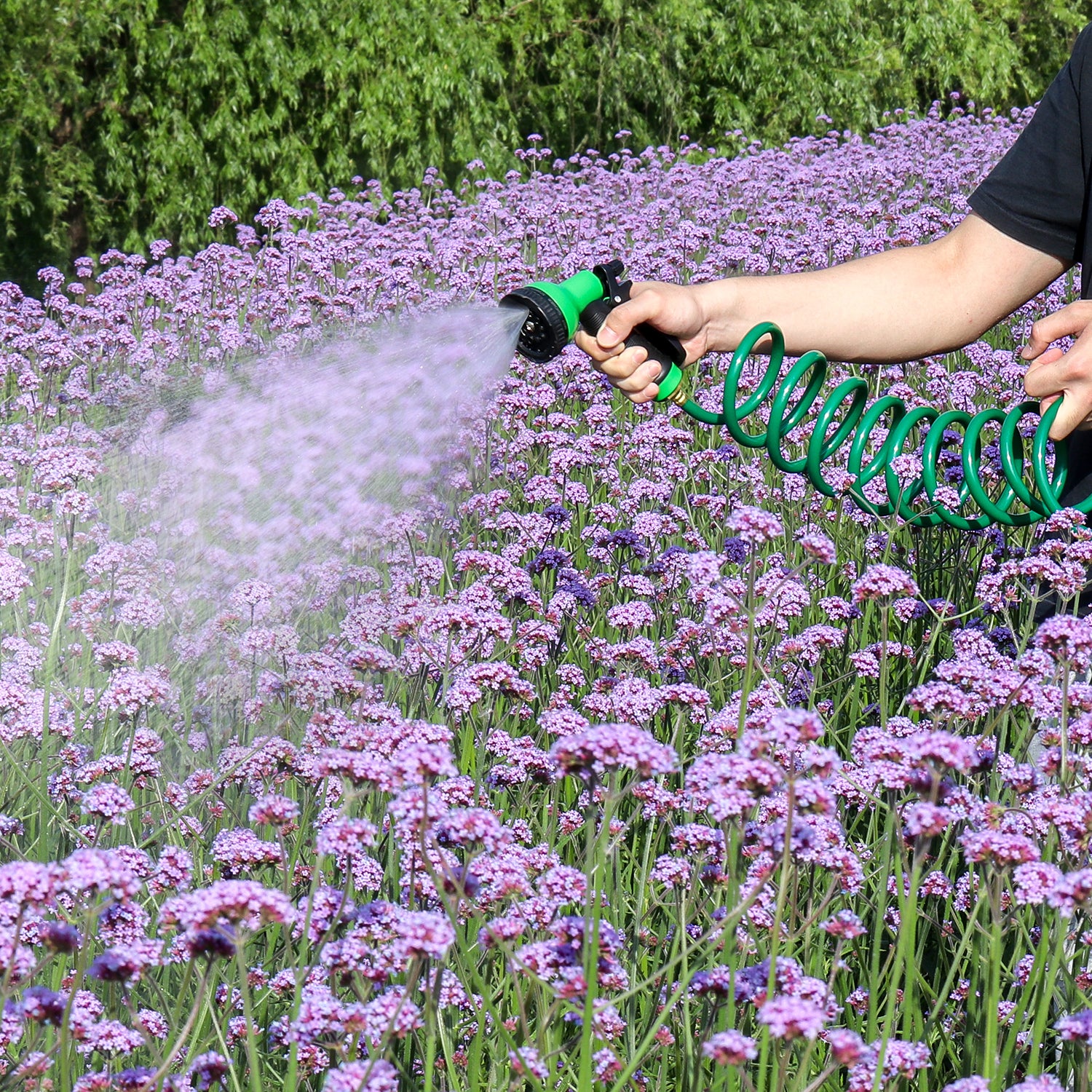 EVA Material Spiral Hose 25/50FT with Brass Connectors, Lightweight and Tangle-free, Equipped with Nozzle Offering 10 Spray Patterns|for Outdoor Lawn Watering and Car Washing