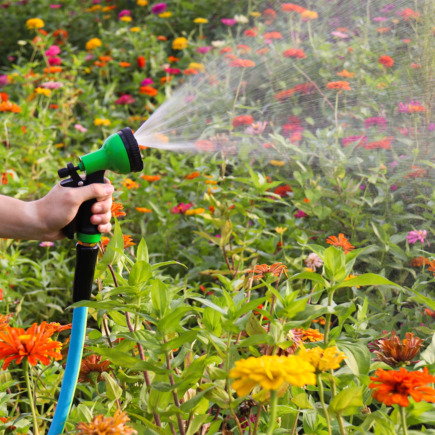 FEI HU PLASTIC Watering Hose – Durable Garden Hose for Outdoor Watering, Irrigation & Lawn Care